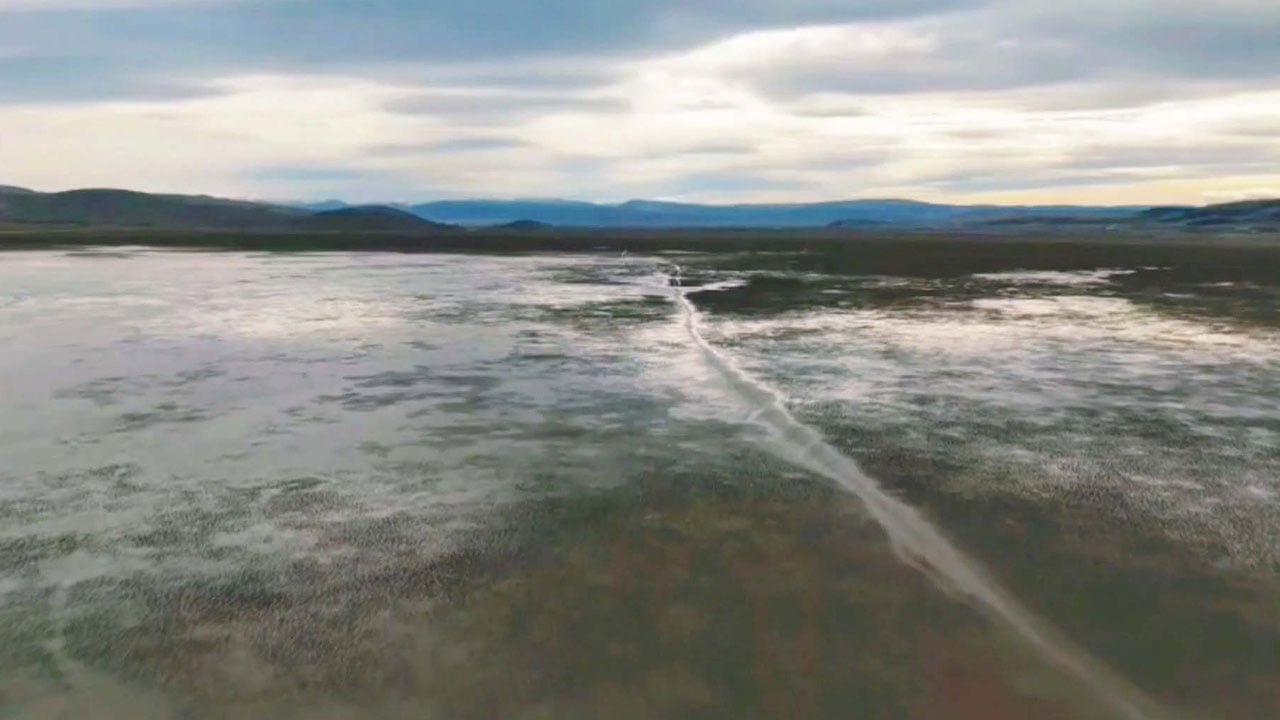 Foto - Yıllar sonra su tutmaya başladı! Kuruyan kuş cenneti yeniden canlanıyor