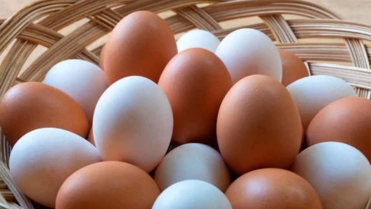 Foto - Yıllarca hata yapmışız! Asla yıkanmaması gereken 15 besin açıklandı