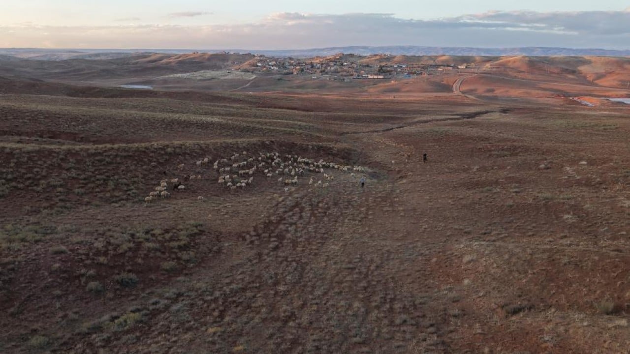 Foto - Yıllarca medya dünyasındaydı! İstanbul hengâmesinden kaçtı, şimdi köyde hayvancılık yapıyor