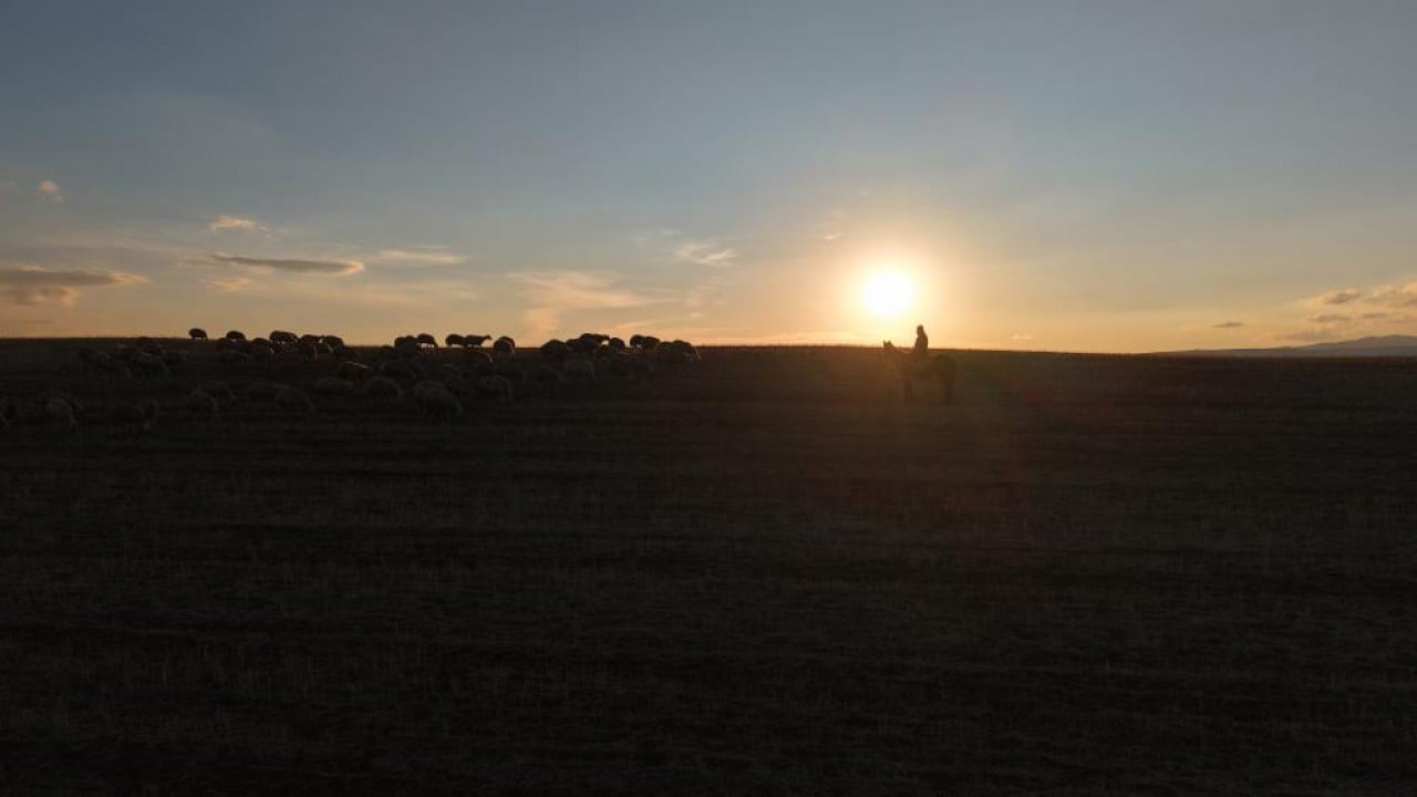 Yıllarca medya dünyasındaydı! İstanbul hengâmesinden kaçtı, şimdi köyde hayvancılık yapıyor
