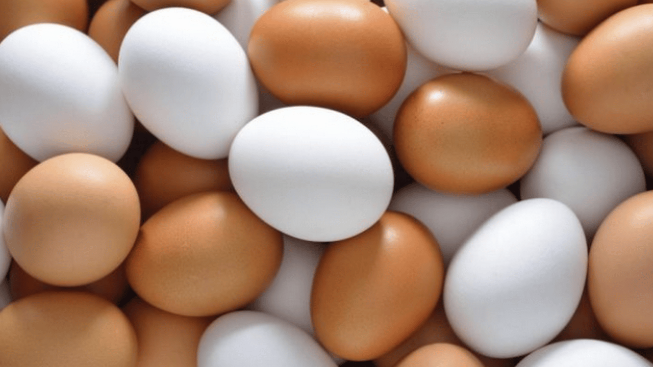 Foto - Yıllardır yumurta faydalı mı tartışılıyor: Haftada 2 kez tüketen Alzheimer'a veda ediyor