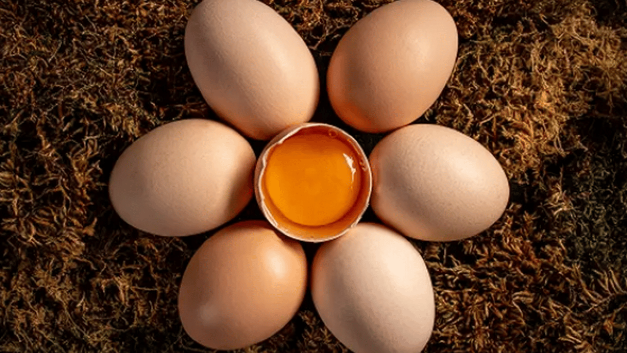 Foto - Yıllardır yumurta faydalı mı tartışılıyor: Haftada 2 kez tüketen Alzheimer'a veda ediyor
