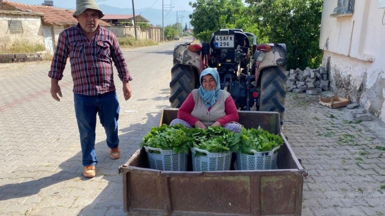 Yoğun talebe yetişemiyorlar Meyveden önce yaprağından kazanıyorlar