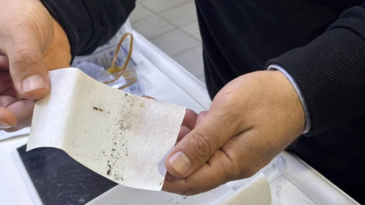 Foto - Yoğun yağışlar sonrası üreme alanı arttı! Antalya'da kaşındıran alarm