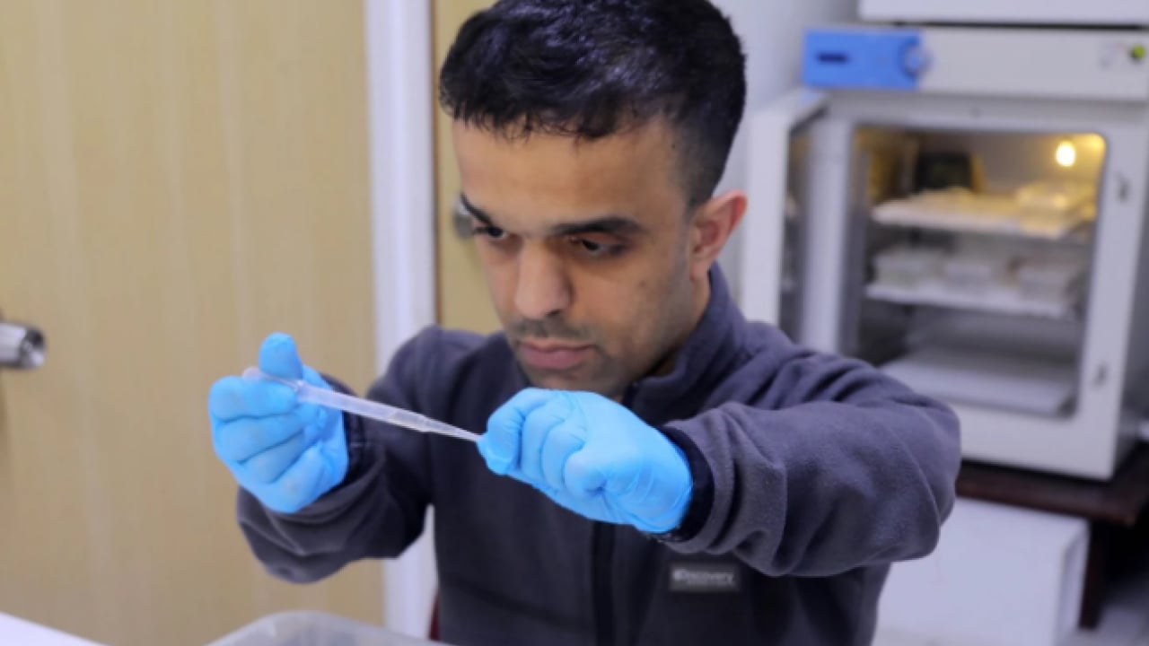 Foto - Yoğun yağışlar sonrası üreme alanı arttı! Antalya'da kaşındıran alarm