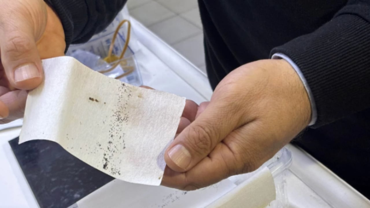 Foto - Yoğun yağışlar sonrası üreme alanı arttı! Antalya'da kaşındıran alarm