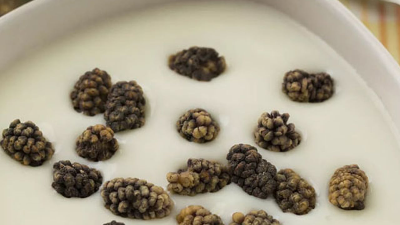 Yoğurdun içine kuru dut koyup yerseniz... Satışlar patladı, talep çok! 