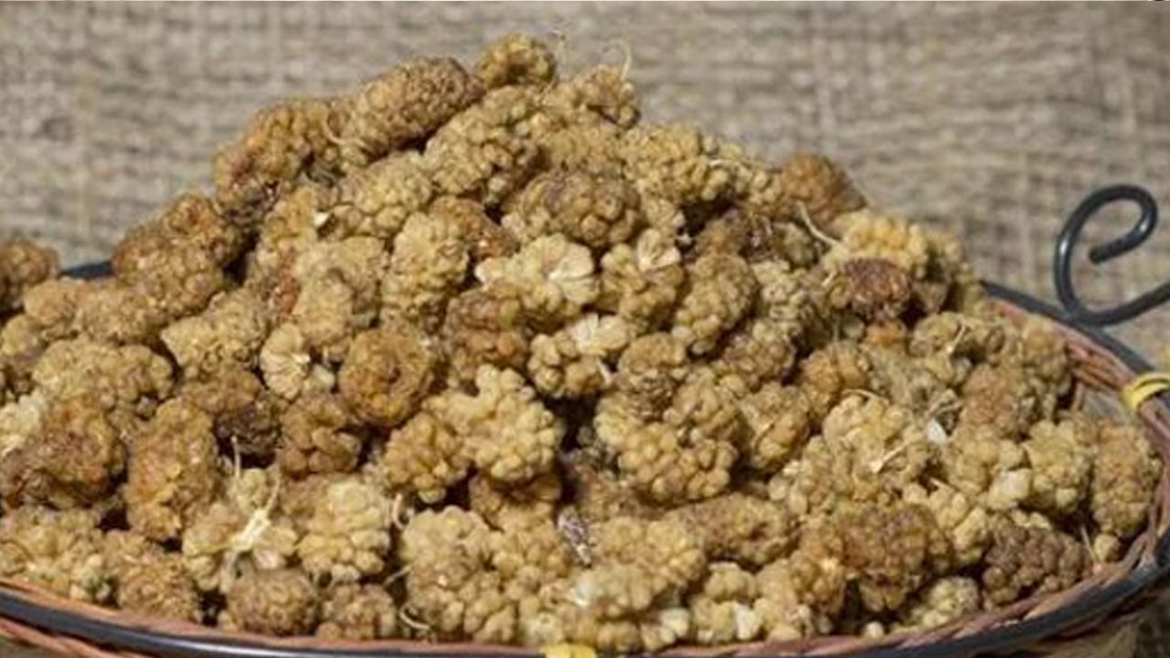 Foto - Yoğurdun içine kuru dut koyup yerseniz... Satışlar patladı, talep çok! 