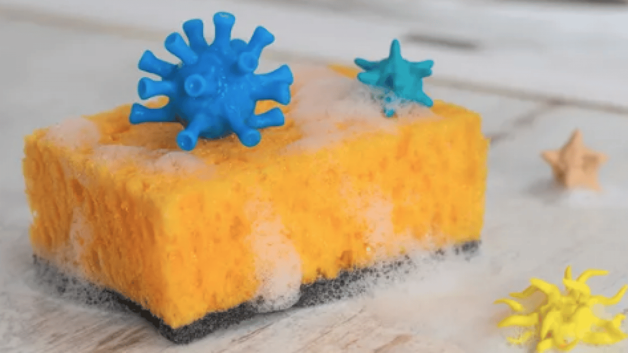 Yok artık! Evlerdeki en kirli yer belli oldu! Meğer klozetten bile 5 kat daha kirliymiş...