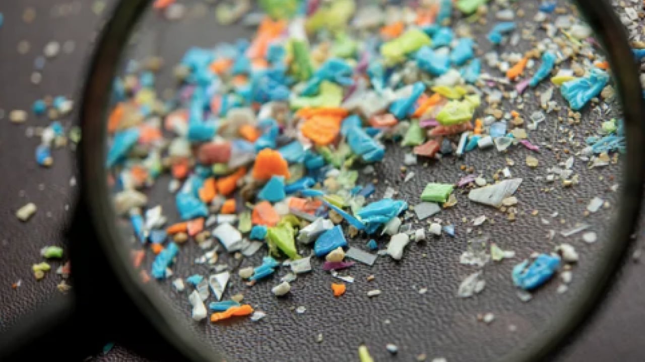 Foto - Yok artık! Evlerdeki en kirli yer belli oldu! Meğer klozetten bile 5 kat daha kirliymiş...