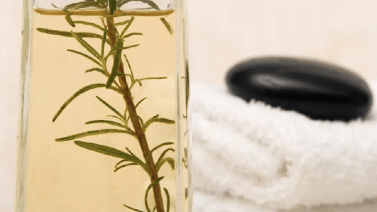 Foto - Yok böyle bir şifa: Hafızayı dipçik yapıyor! O bitkiyi koklamak yeterli