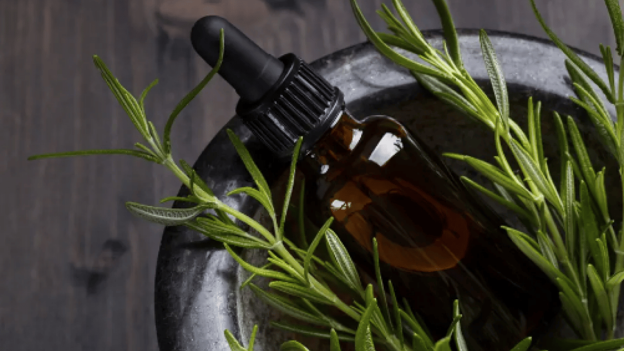 Foto - Yok böyle bir şifa: Hafızayı dipçik yapıyor! O bitkiyi koklamak yeterli