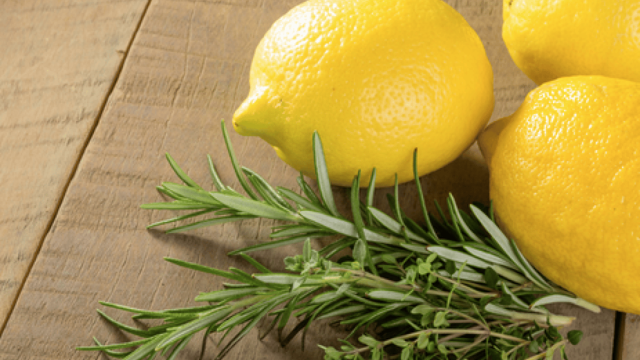 Foto - Yok böyle bir şifa: Hafızayı dipçik yapıyor! O bitkiyi koklamak yeterli