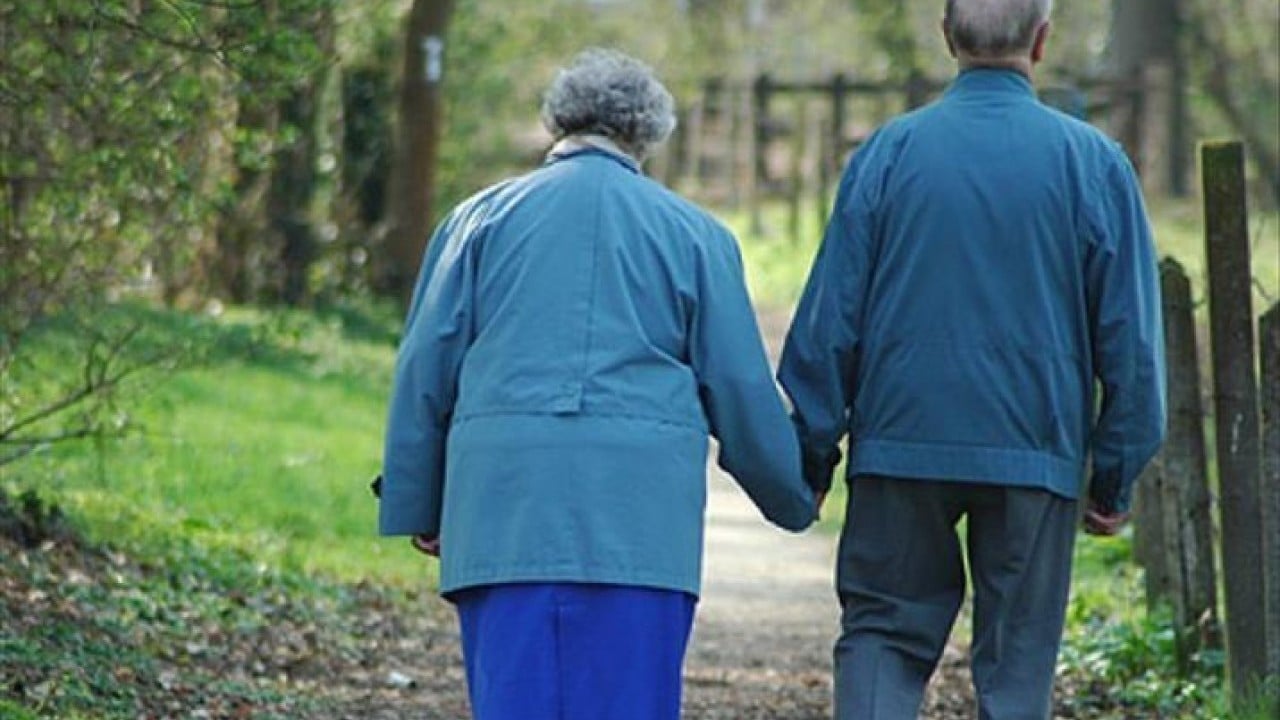 Yok oluşa doğru gidiyorlar