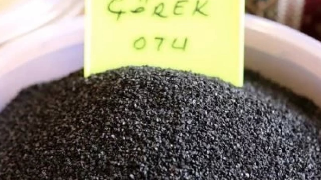 Foto - Yok yok faydalarında... Yüzyıllardır kullanılıyor: Anadolu’nun şifalı tohumu