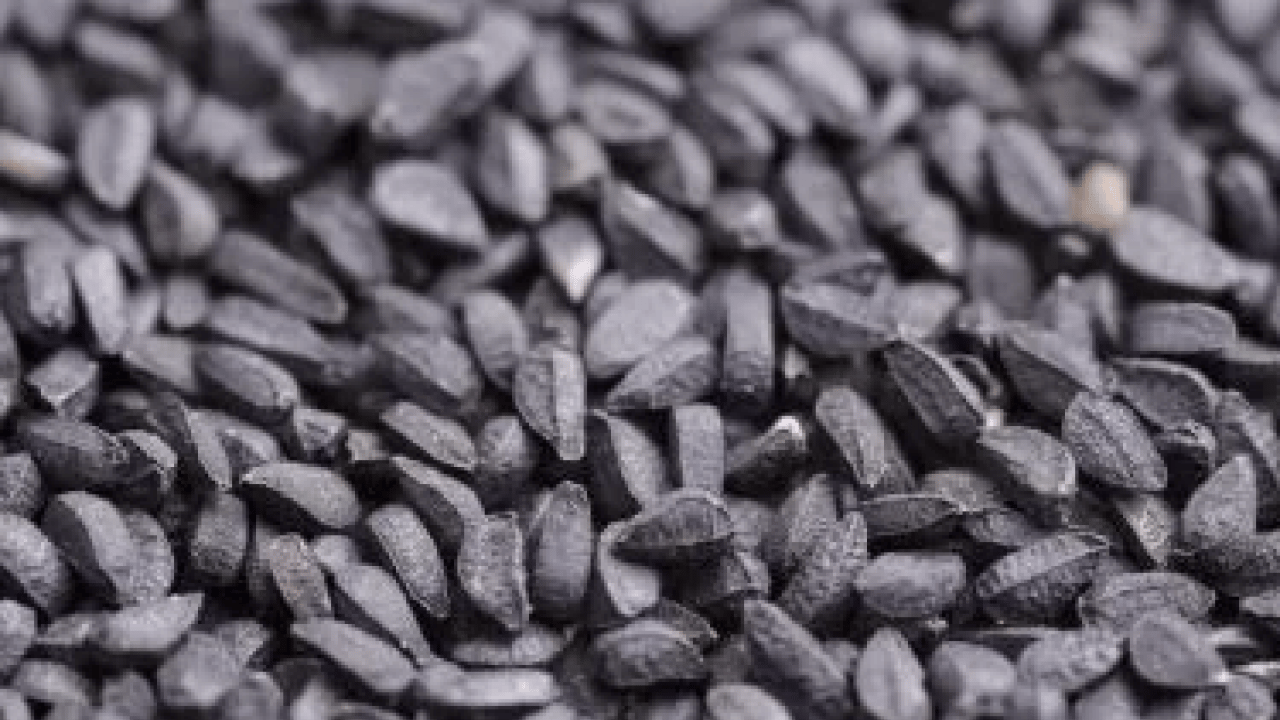 Foto - Yok yok faydalarında... Yüzyıllardır kullanılıyor: Anadolu’nun şifalı tohumu