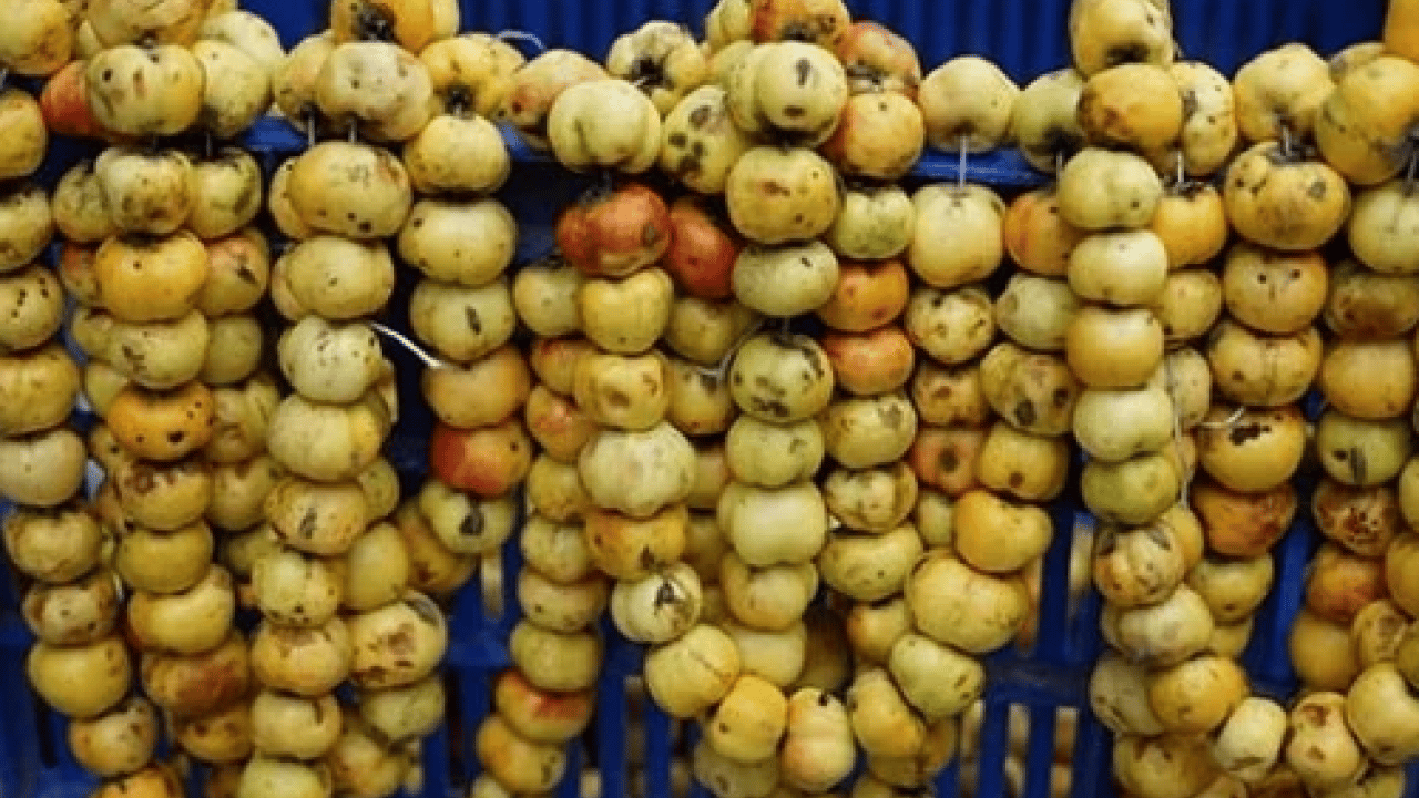 Foto - Yol kenarında yetişiyor kilosu 50 TL! Alıç meyvesi tezgâhlardaki yerini aldı! Bu faydasını ilk kez duyacaksınız! 