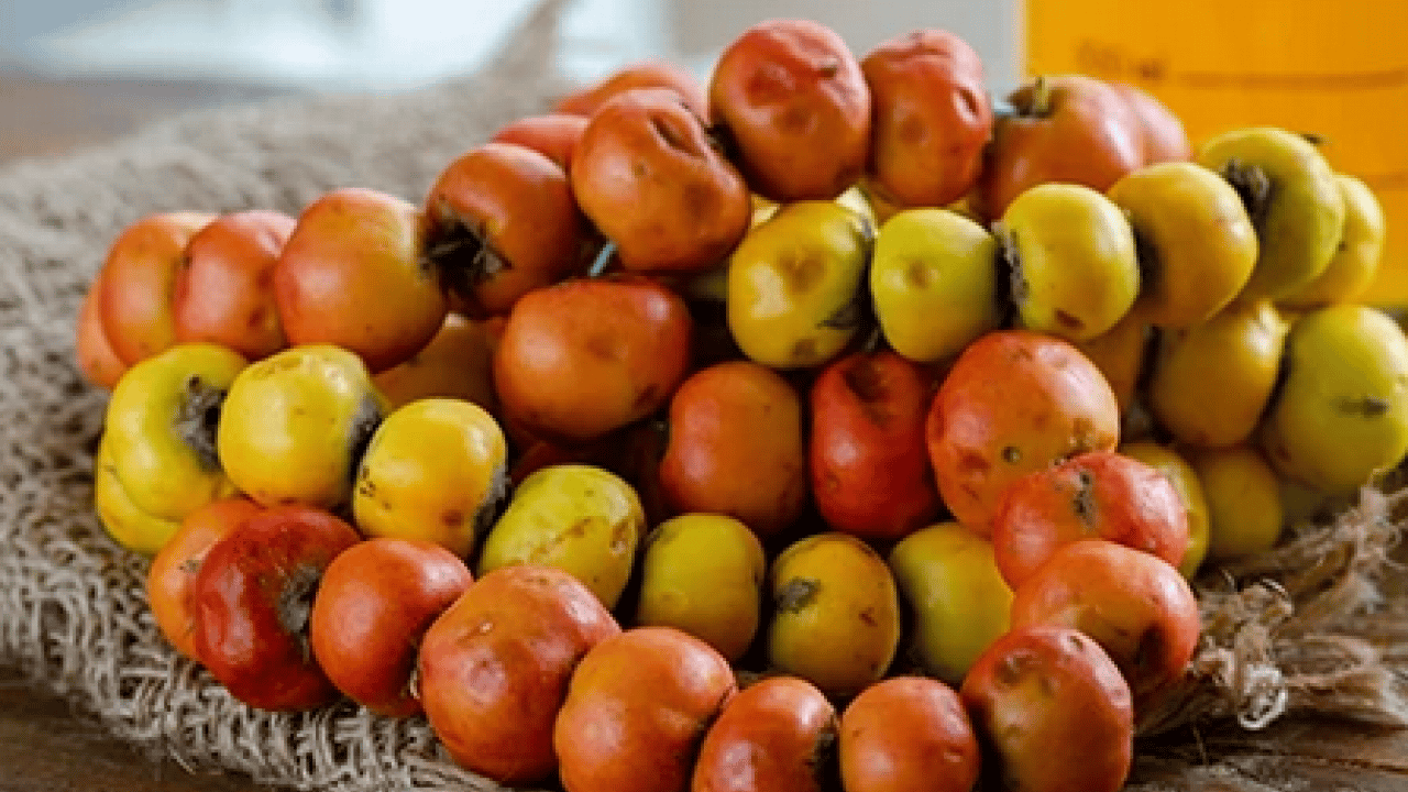 Foto - Yol kenarında yetişiyor kilosu 50 TL! Alıç meyvesi tezgâhlardaki yerini aldı! Bu faydasını ilk kez duyacaksınız! 