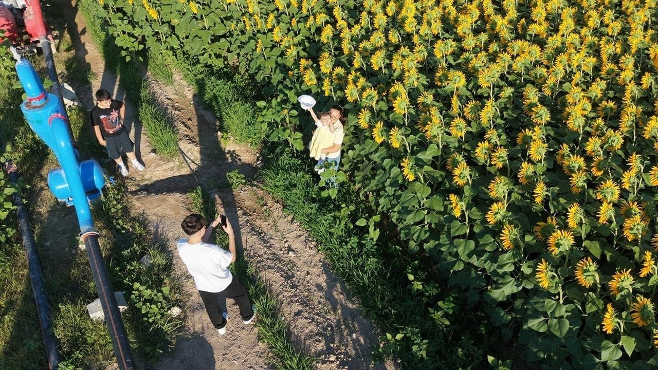 Foto - Yolda gören hemen durup iniyor, hızla artıyor: "1302 TL" tercih nedeni oldu
