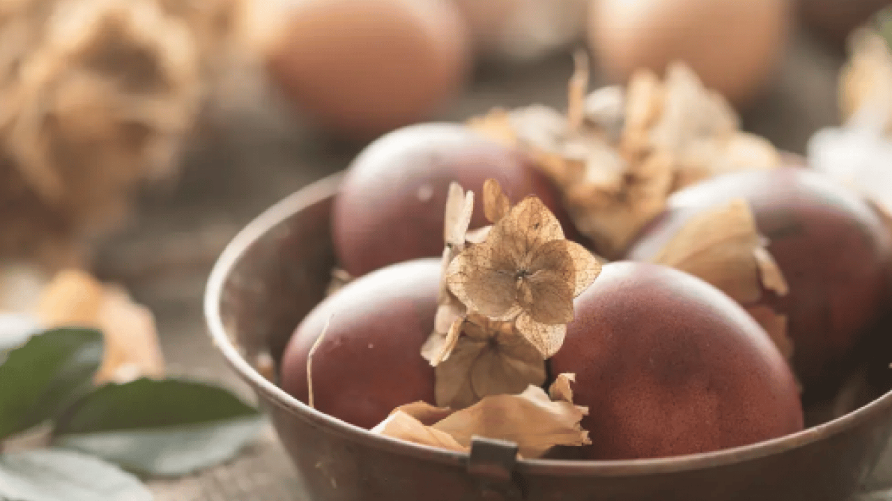 Foto - Yüksek kalsiyum ve potansiyel... Kemik sağlığının yapıtaşı bu kabuklar: Çöpe gitmesin tüketin