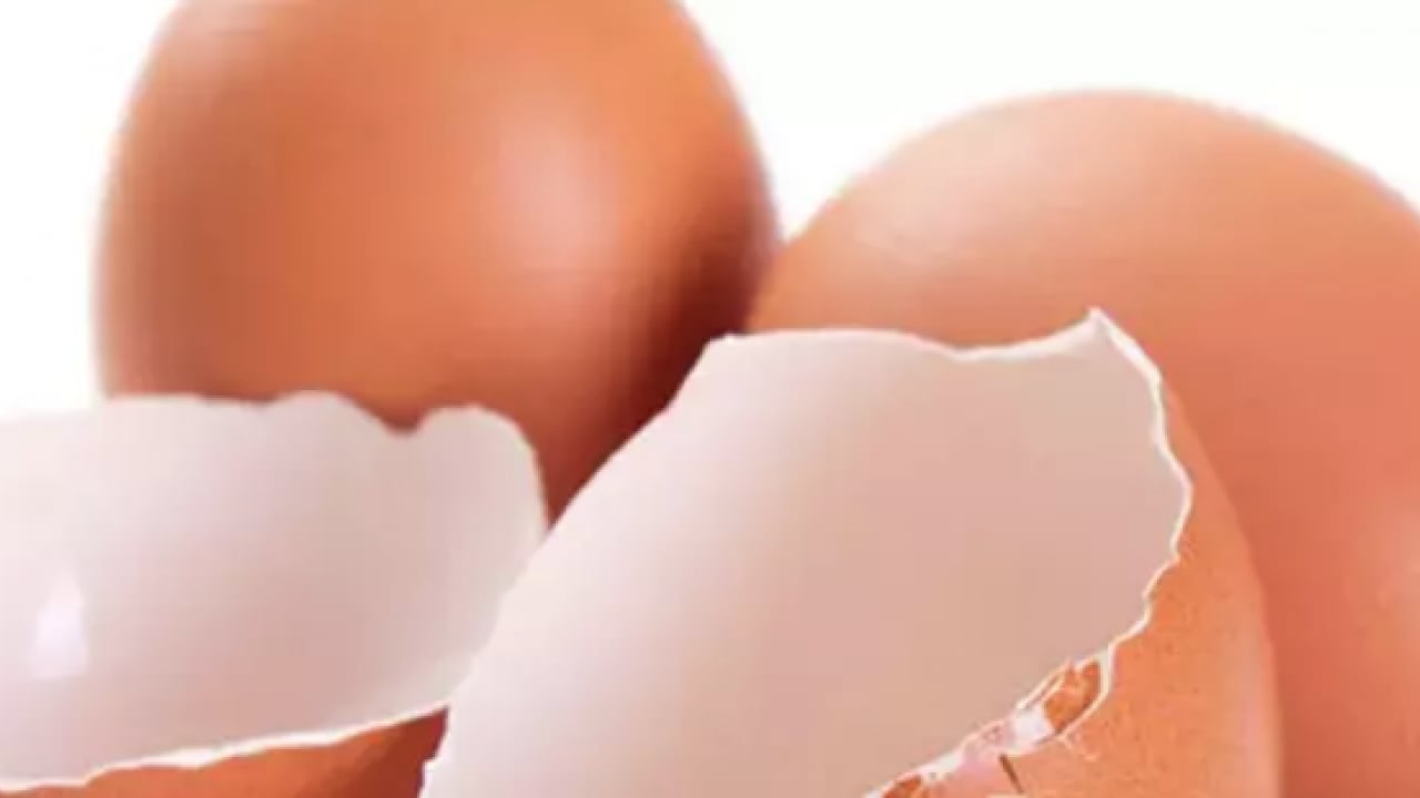 Foto - Yüksek kalsiyum ve potansiyel... Kemik sağlığının yapıtaşı bu kabuklar: Çöpe gitmesin tüketin