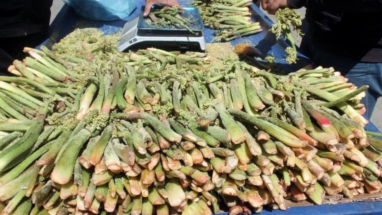 Yüksek rakımın lezzeti ‘yayla muzu’ tezgâhlarda! Sağlık sorunlarına karşı da tüketiliyor