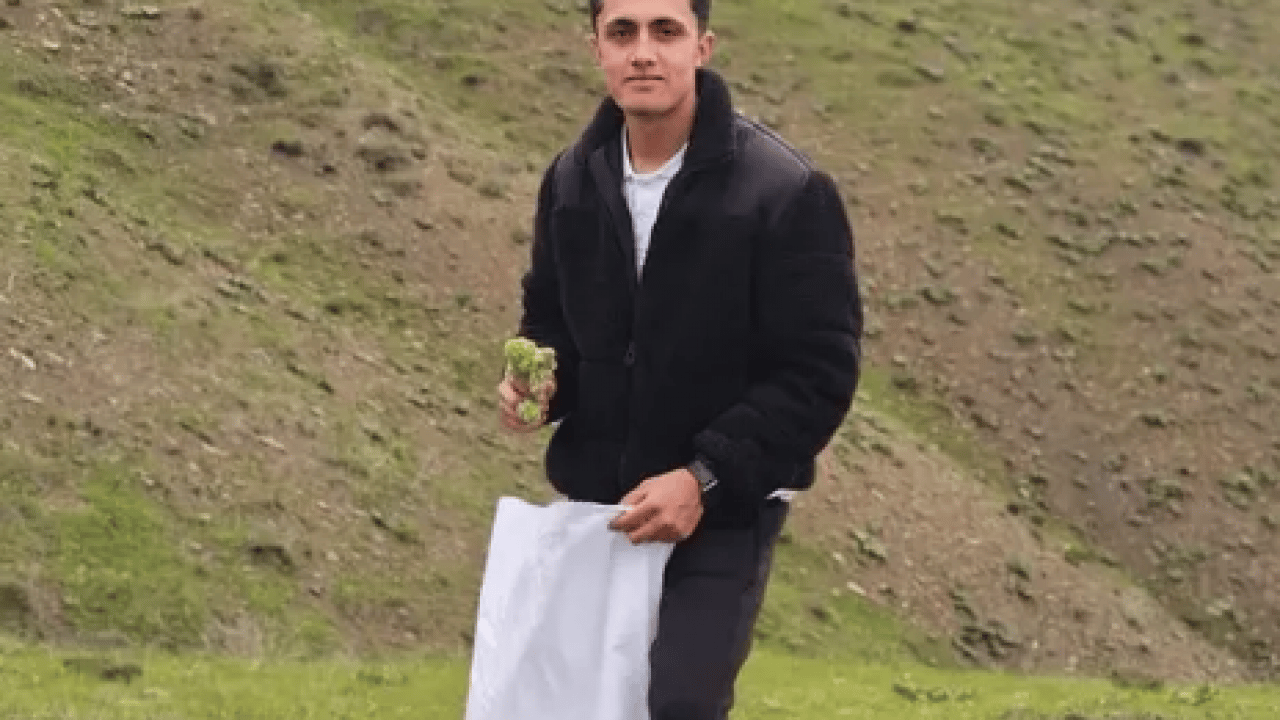 Foto - Yüksek rakımlı dağlarda yetişiyor, kendiliğinden paraya dönüşüyor! O ilimizde 'yayla muzu' mesaisi