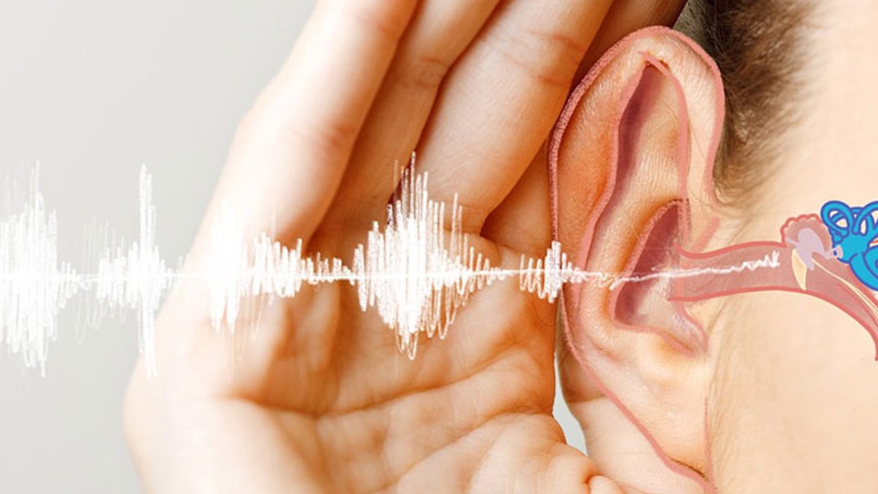 Foto - Yüksek ses sağır yapıyor: Kalıcı hasarlar meydana getirdi