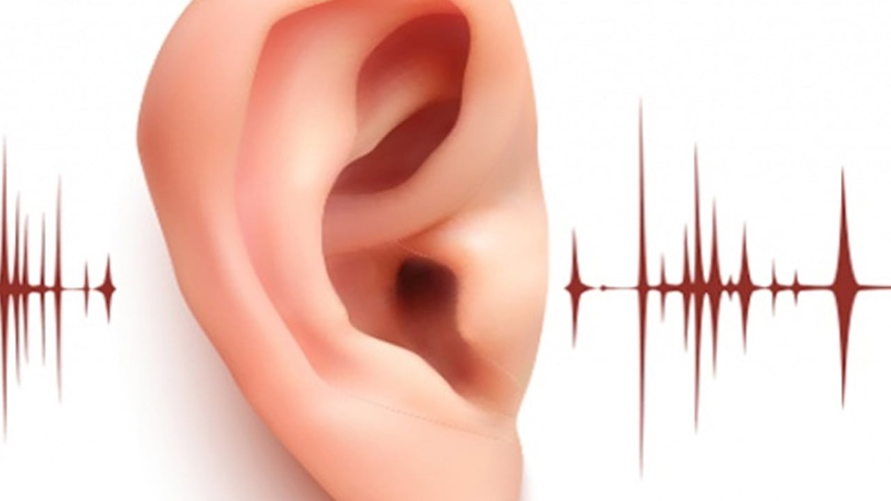 Foto - Yüksek ses sağır yapıyor: Kalıcı hasarlar meydana getirdi