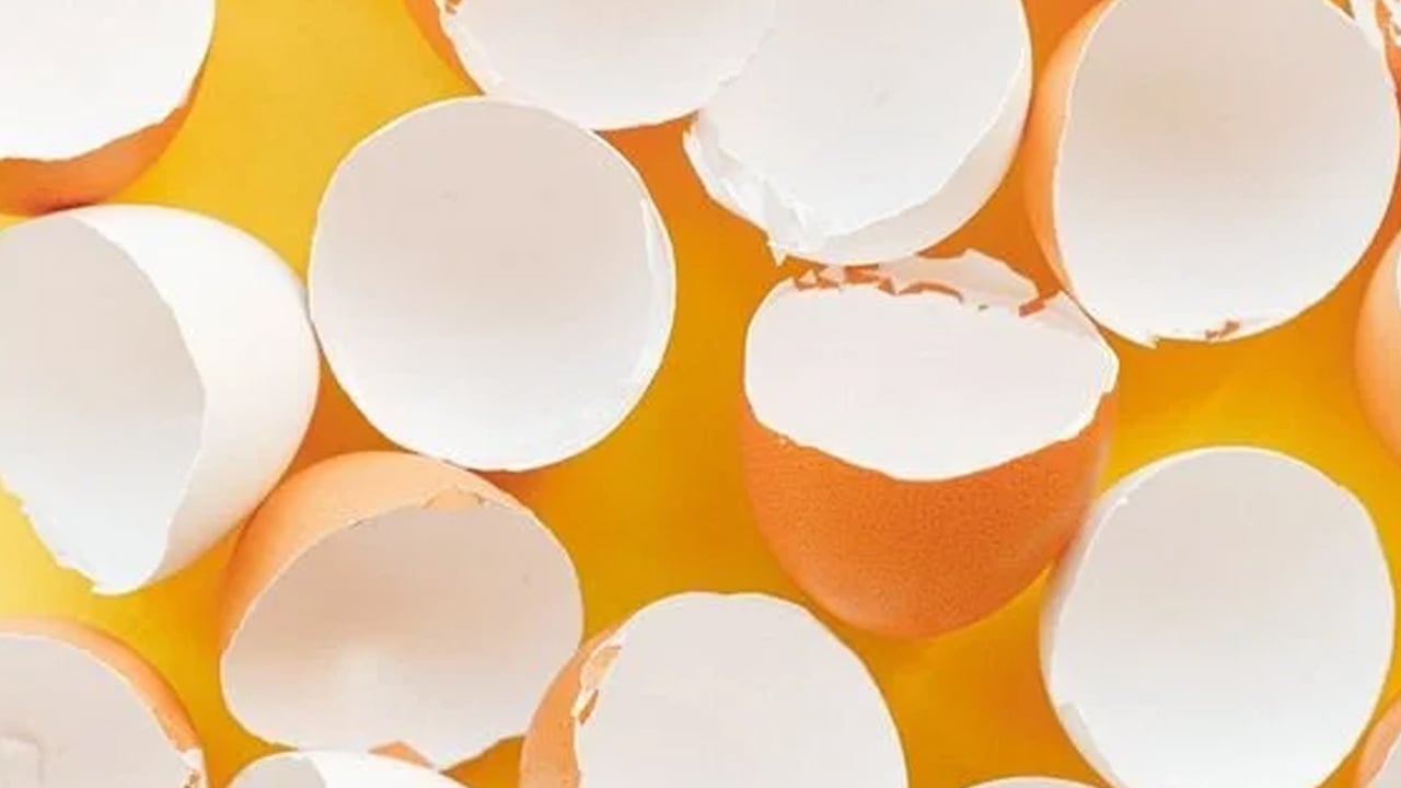 Yumurta kabuğunun hiç duymadığınız 6 faydası: Her şeyi yapabiliriz! 1 tane değil sık sık yiyin, bakın ne ilgisi var! 