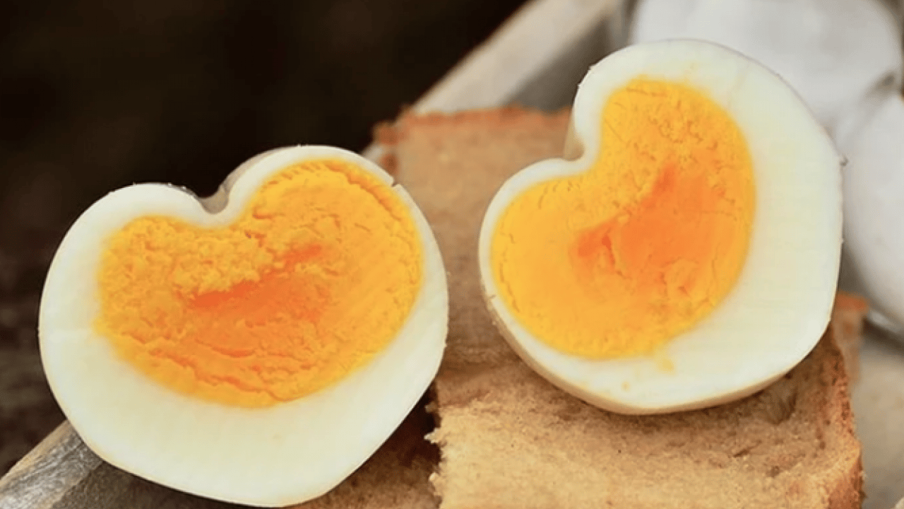 Foto - Yumurta sarısı aklandı: Yeni araştırmalar herkesin ağzını açık bırakacak!