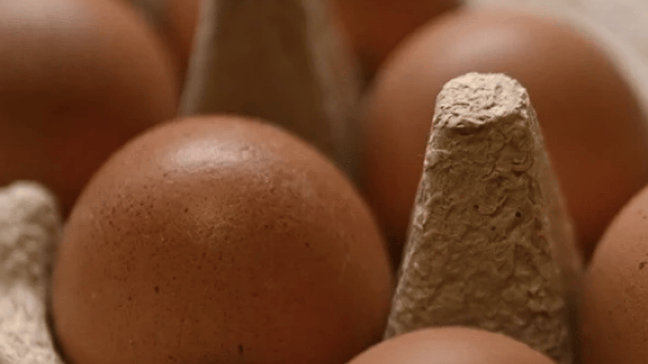 Foto - Yumurta sarısı aklandı: Yeni araştırmalar herkesin ağzını açık bırakacak!
