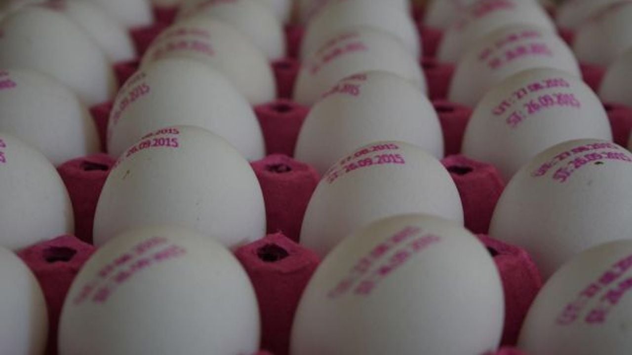 Foto - Yumurta satışında yeni dönem: Haftalık üst sınır getirildi