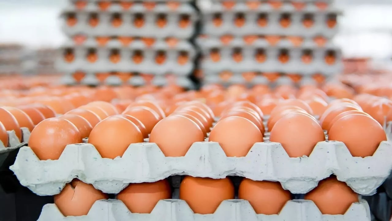 Foto - Yumurta satışında yeni dönem: Haftalık üst sınır getirildi