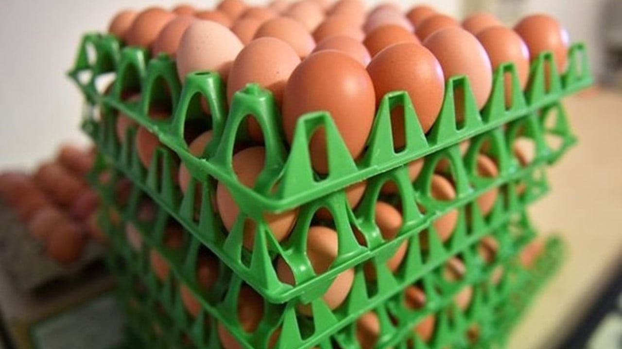 Foto - Yumurta satışında yeni dönem: Haftalık üst sınır getirildi