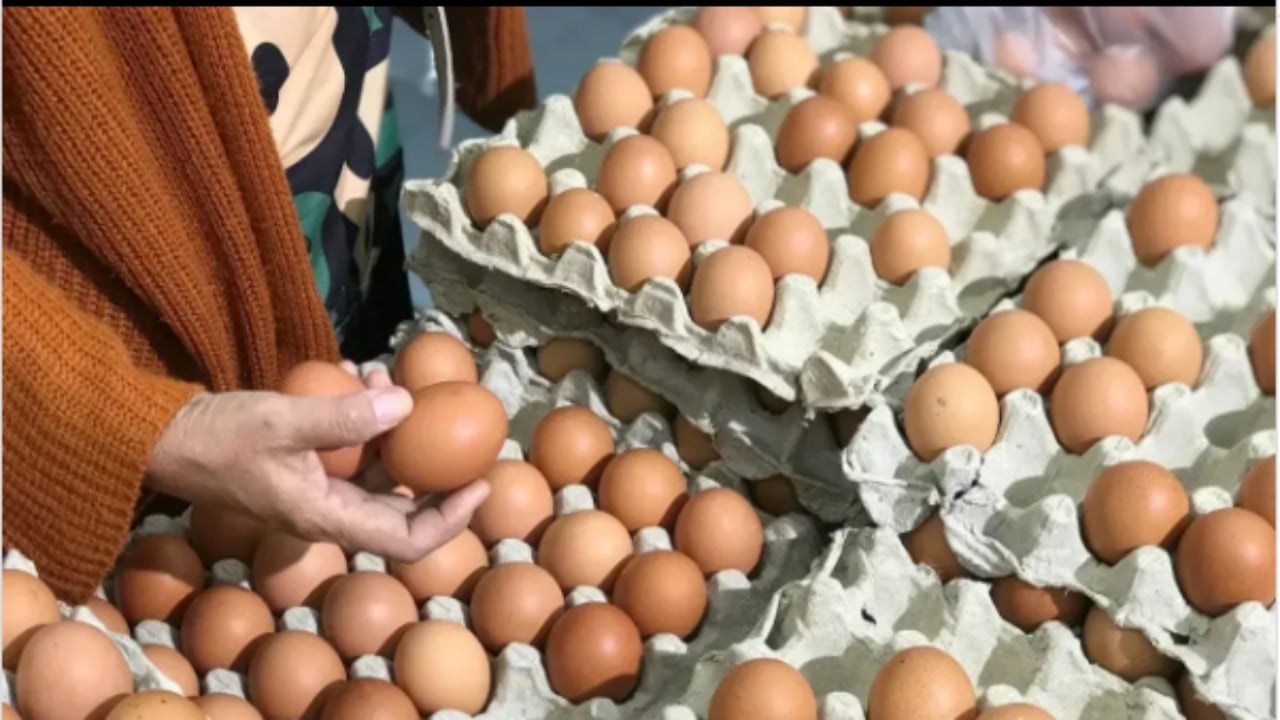 Yumurta satışında yeni dönem: Haftalık üst sınır getirildi