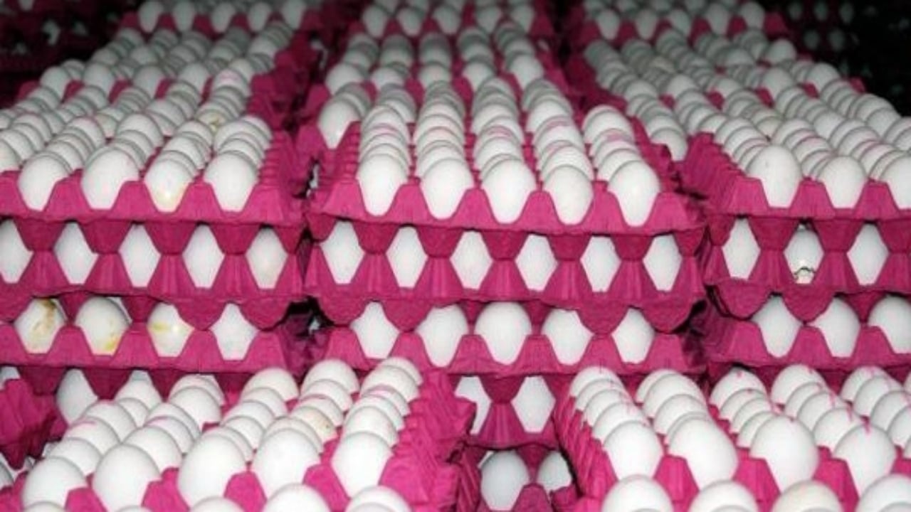 Foto - Yumurta satışında yeni dönem: Haftalık üst sınır getirildi