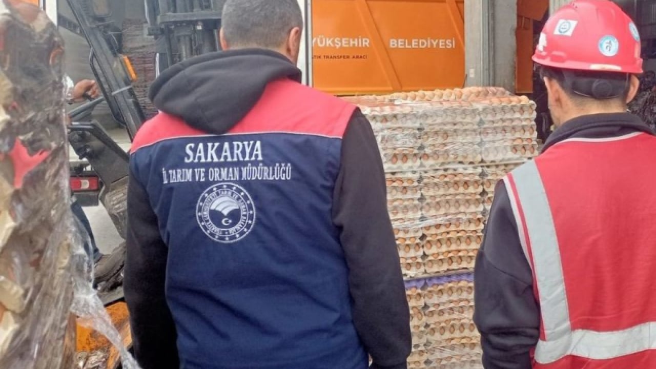 Yumurtada akıl almaz hile! Maske düştü, ekipler kahvaltı masanıza gelmeden on binlercesini toprağa gömdü