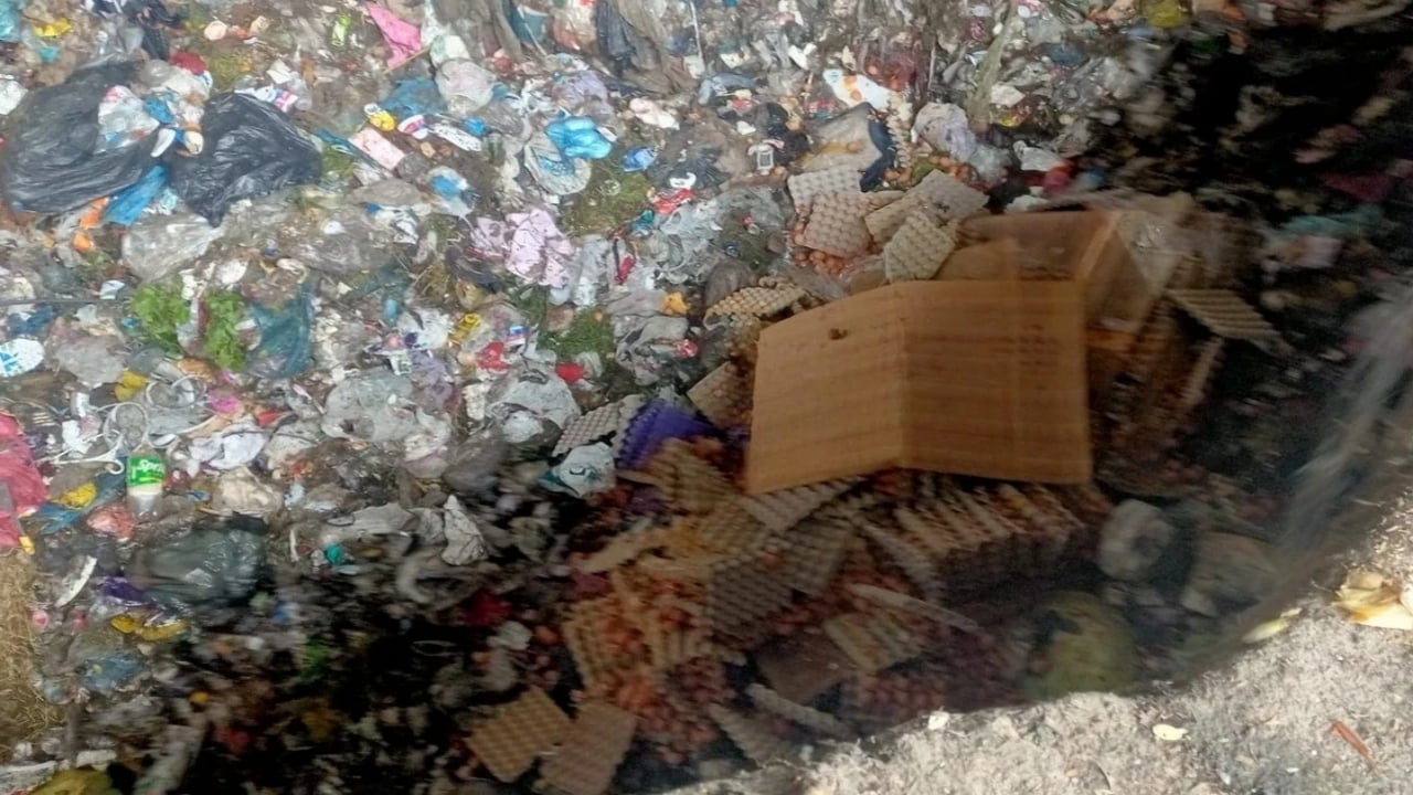 Foto - Yumurtada akıl almaz hile! Maske düştü, ekipler kahvaltı masanıza gelmeden on binlercesini toprağa gömdü