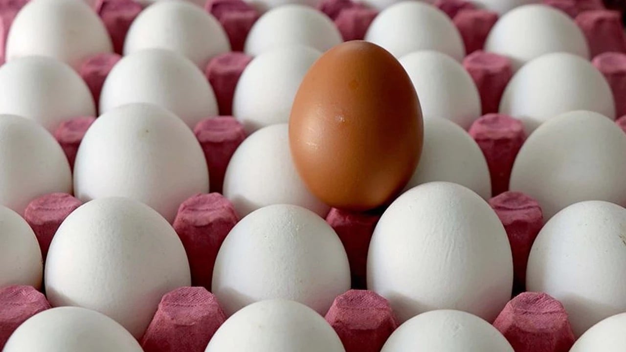 Foto - Yumurtaya zam açıklaması