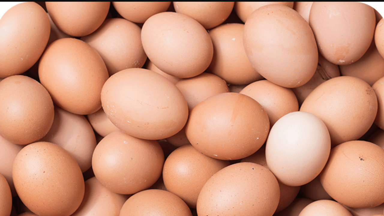 Foto - Yumurtaya zam açıklaması