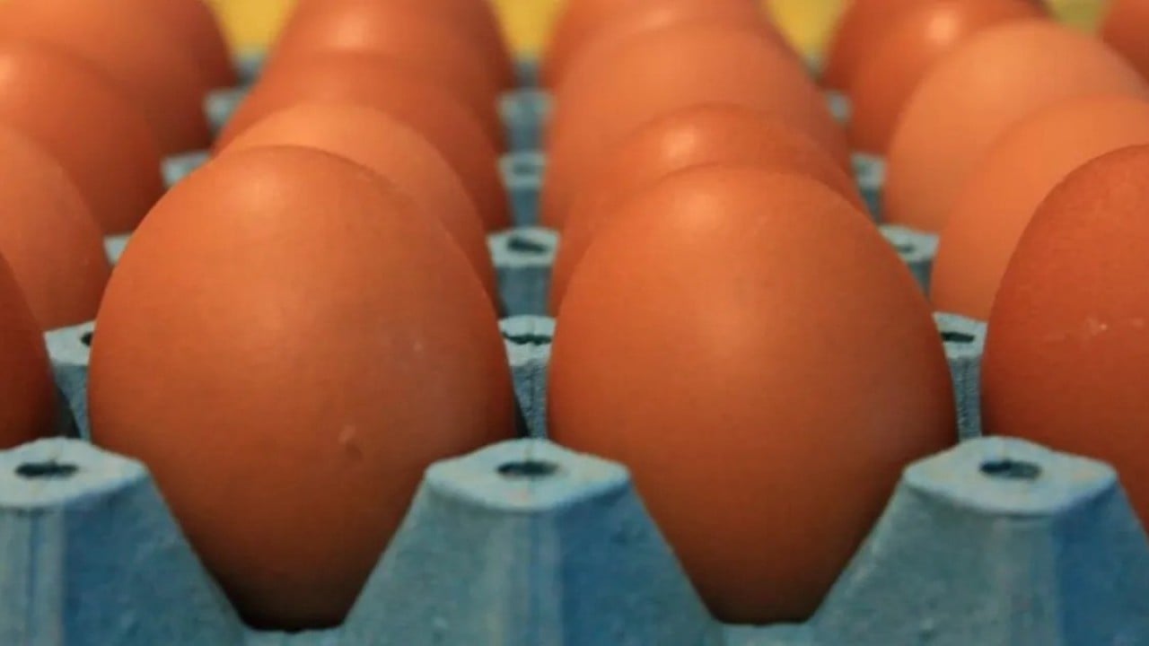 Foto - Yumurtaya zam açıklaması