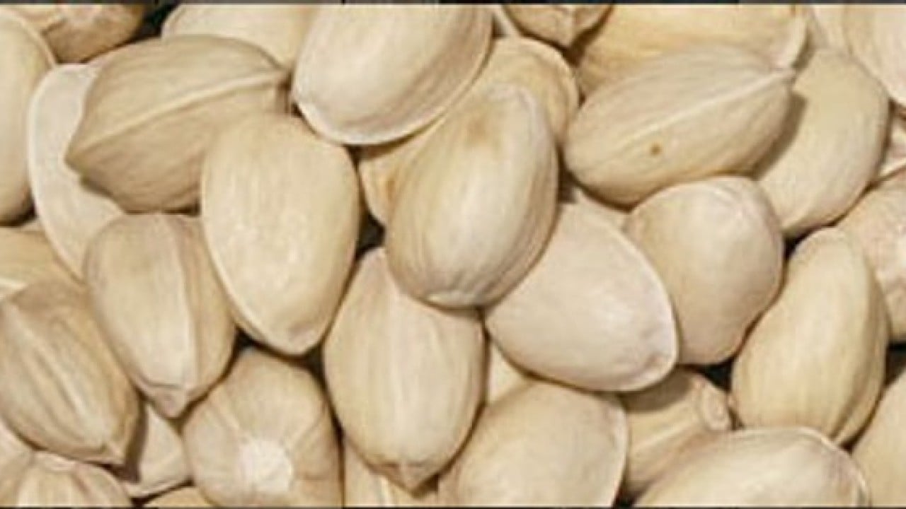 Foto - Yunanistan hırsızlık yapıp Türkiye'yi yendi