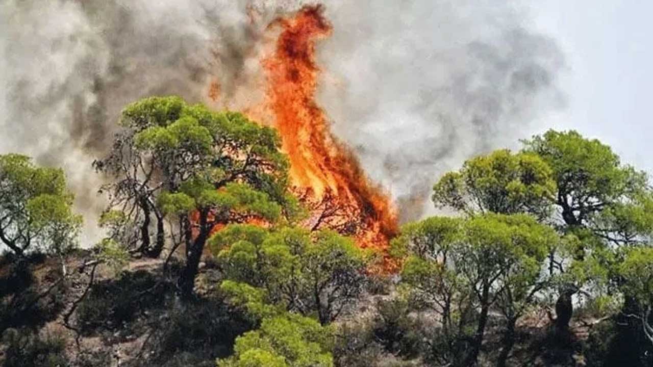 Foto - Yunanistan kabusu yaşıyor! 2 yerleşim yeri boşaltıldı