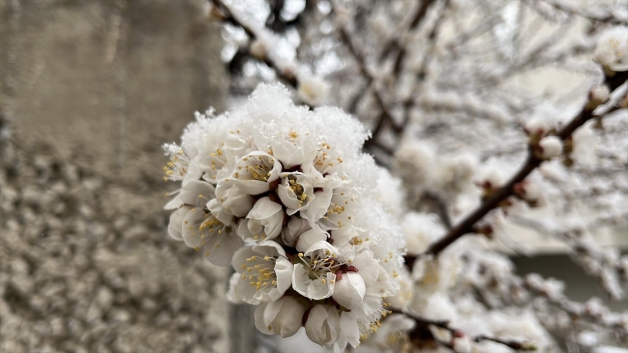 Foto - Yurdun bazı bölgelerinde kar yağışı etkili oluyor