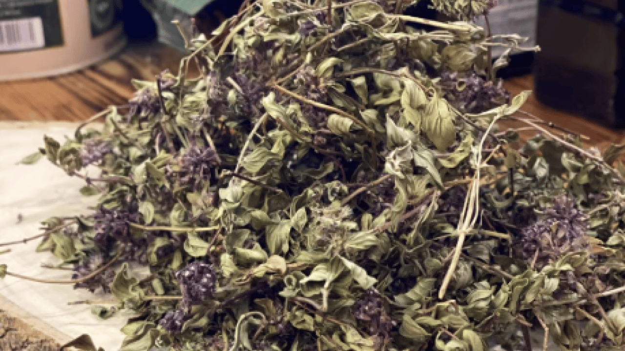 Foto - Yurt dışına kaçırırken yakalandı: Tam 557 bin lira ceza yedi!