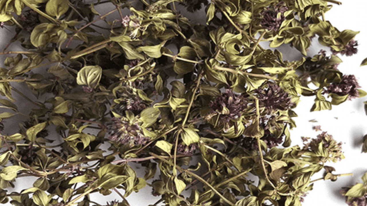 Foto - Yurt dışına kaçırırken yakalandı: Tam 557 bin lira ceza yedi!