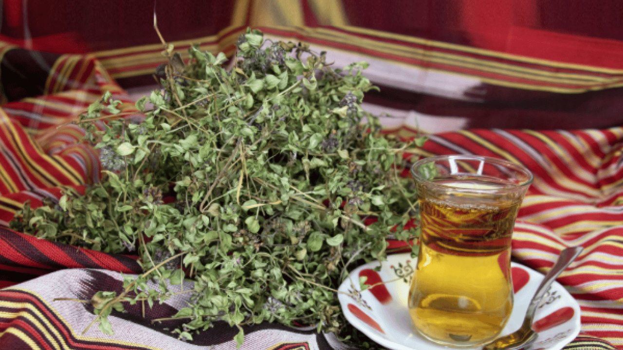 Foto - Yurt dışına kaçırırken yakalandı: Tam 557 bin lira ceza yedi!