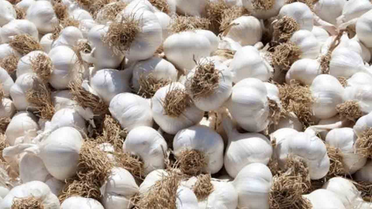 Foto - Yüzde 3’lük sarımsak: En güçlü gargarayı bile geride bıraktı