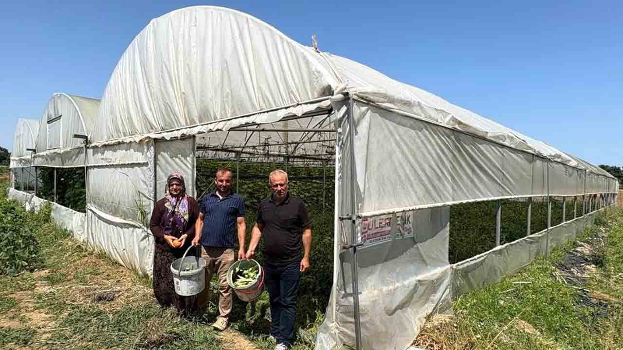 Foto - Yüzde 50 hibeyle kuruldu: Modern seralarda ilk hasat yapıldı